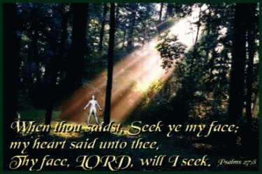 When you said, Seek my face; my heart said unto you, Your face, Lord, will I seek.